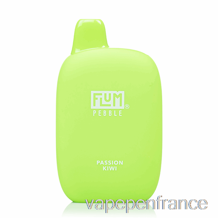 Stylo Vape Jetable Flum Pebble 6000 Passion Kiwi